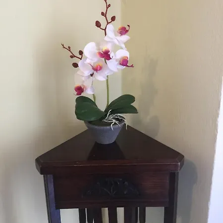 Happywish Syros Aparthotel 3*