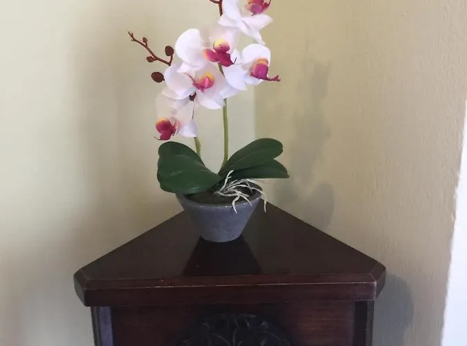 Happywish Syros Lägenhetshotell 3*